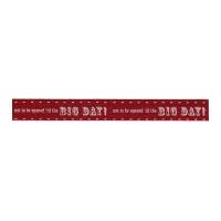 Berisford Big Day Print Ribbon