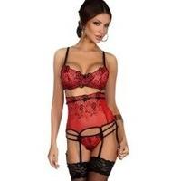Beautiful Sheer Red Tulle Bra, Suspender Belt & Thong Set With Black Floral Embroidery Detail And Satin Ribbon Bows - Small/Medium (UK 8-12)