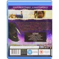 Beasts Of The Southern Wild [Blu-ray]