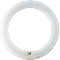 Bell T9 Circular Lamp 60W - Cool White