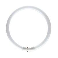 Bell Lighting 22W 2GX13 T5 Circular Energy Saving Tube Bulb 6500K Daylight White