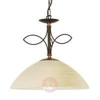 Beautiful pendant light BELUGA