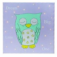 Bedtime Buddies Winx Owl Canvas