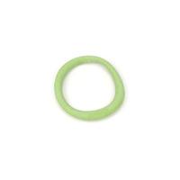 beco things natural friendly pet hoop toy small green