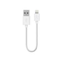 Belkin 15cm Charge and Sync Cable for Apple iPhone and iPad