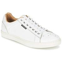 Ben Sherman TREDEGAR men\'s Shoes (Trainers) in white