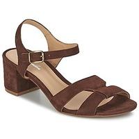 Betty London BOREAL women\'s Sandals in brown