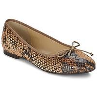 betty london micoro womens shoes pumps ballerinas in brown