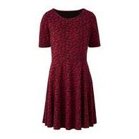 Berry/ Black Jacquard Skater Dress