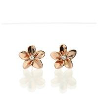 Bella Mia Rose Gold Blossom Stud Earrings with clear stone