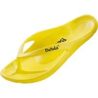 Betula Energy Yellow