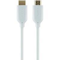 Belkin DisplayPort cable in black