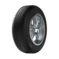 BF-Goodrich G-Force Winter 185/70 R14 88T