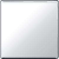 BG Single Chrome Blanking Plate