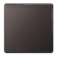 BG Single Black Blanking Plate