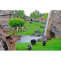Bioparc Valencia - Standard Tick...