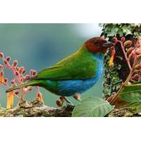 Bird Watching and West Trail fro...