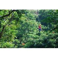 Big Island Zipline Adventure