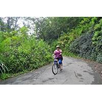 Bicycle Tour of Jamaica\'s Blue Mountains from Falmouth