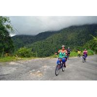 Bicycle Tour of Jamaica\'s Blue Mountains from Montego Bay