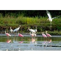 Birdwatching at Mundo Aventura N...