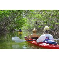 bioluminescent bay kayak adventure tour from san juan