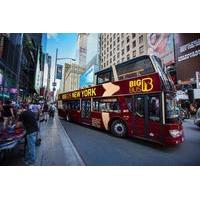 big bus new york hop on hop off tour