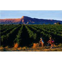 Bike the Colorado Wine Country S...