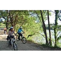 Bike Tour Through the Penedès Wineries