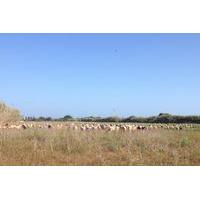 Bike Tour Environmental Park in ...