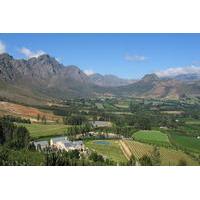Bicycle Tour from Stellenbosch t...