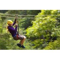 Big Island Kohala Canopy Zipline Adventure
