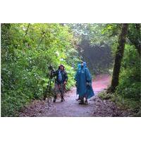 Bird Watching Hike at San Gerardo Reserve