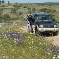 Birding in the Alentejo