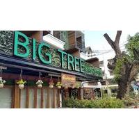 Big Tree Boutique Hotel