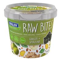 Bioglan Raw Bites Ginger and Spirulina 140g