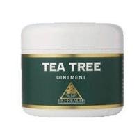 Bio Health Tea Tree Ointment 42g (1 x 42g)