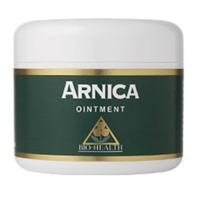 bio health arnica ointment 42g