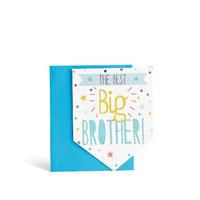 Big Brother Card