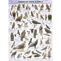 Birds of Prey & Owls 1000pc Jigsaw Puzzle