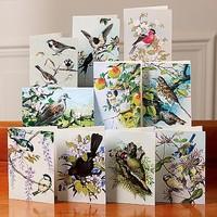 Birds of Britain Cards
