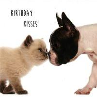Birthday kisses birthday card