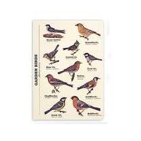 Birds A5 Notebook
