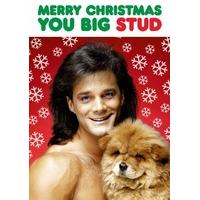 Big Stud | Christmas Card| DM1371