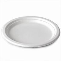 Biopac Biodegradable Sugarcane Large Plates (Pack of 125)