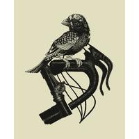 Bird on Bike By John Vogl