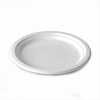 Biopac Biodegradable Sugarcane Small Plates (Case of 1000)