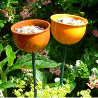 Bird Feeder Cup - Orange