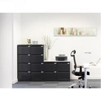 Bisley Black Two-Drawer Filing Cabinet BS2E Black