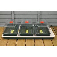 big 3 electric seed propagator heated by garland